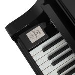 Bösendorfer 250 Years Beethoven 214VC Grand #6