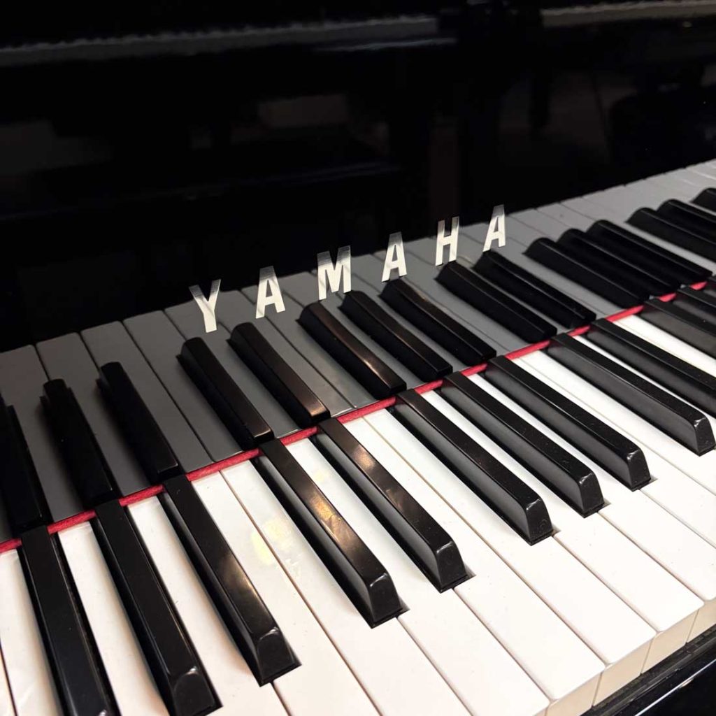 2018 Yamaha N3X AvantGrand Hybrid #UCYH01025