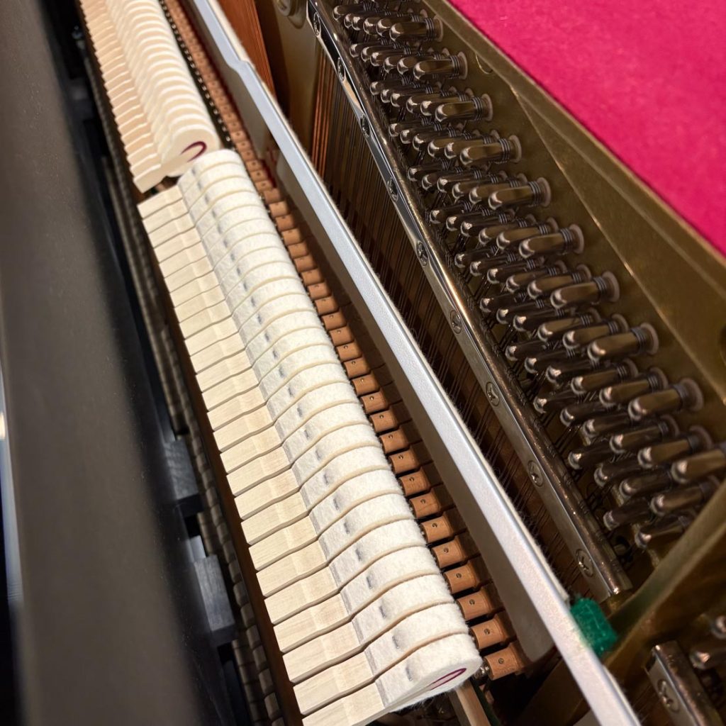 2020 Yamaha b3 Traditional Upright #J36415246