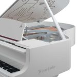 Bösendorfer Cocteau 214VC Grand #2