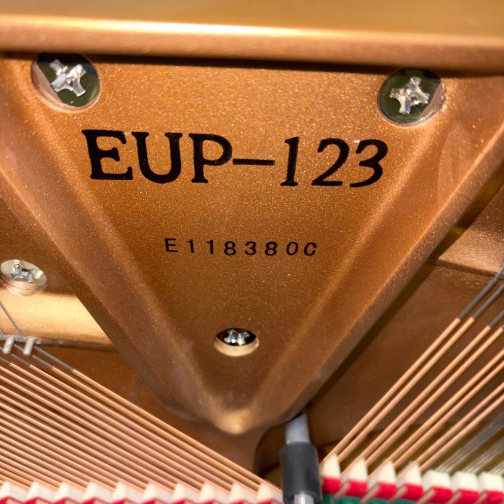 2010 Essex EUP-123 Traditional Upright #E118380C