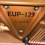 2010 Essex EUP-123 Traditional Upright #E118380C #3