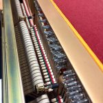2010 Essex EUP-123 Traditional Upright #E118380C #1