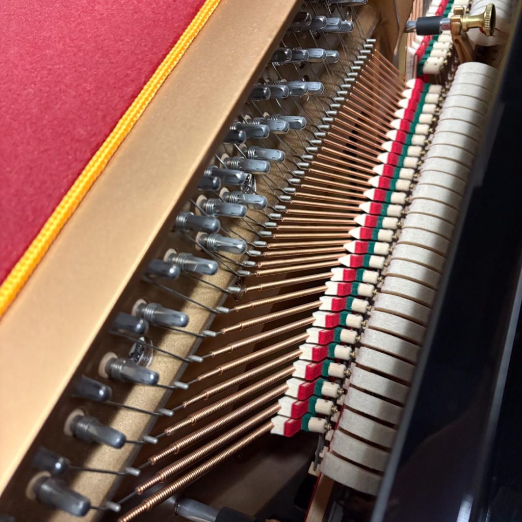 2010 Essex EUP-123 Traditional Upright #E118380C