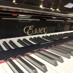 2010 Essex EUP-123 Traditional Upright #E118380C #5