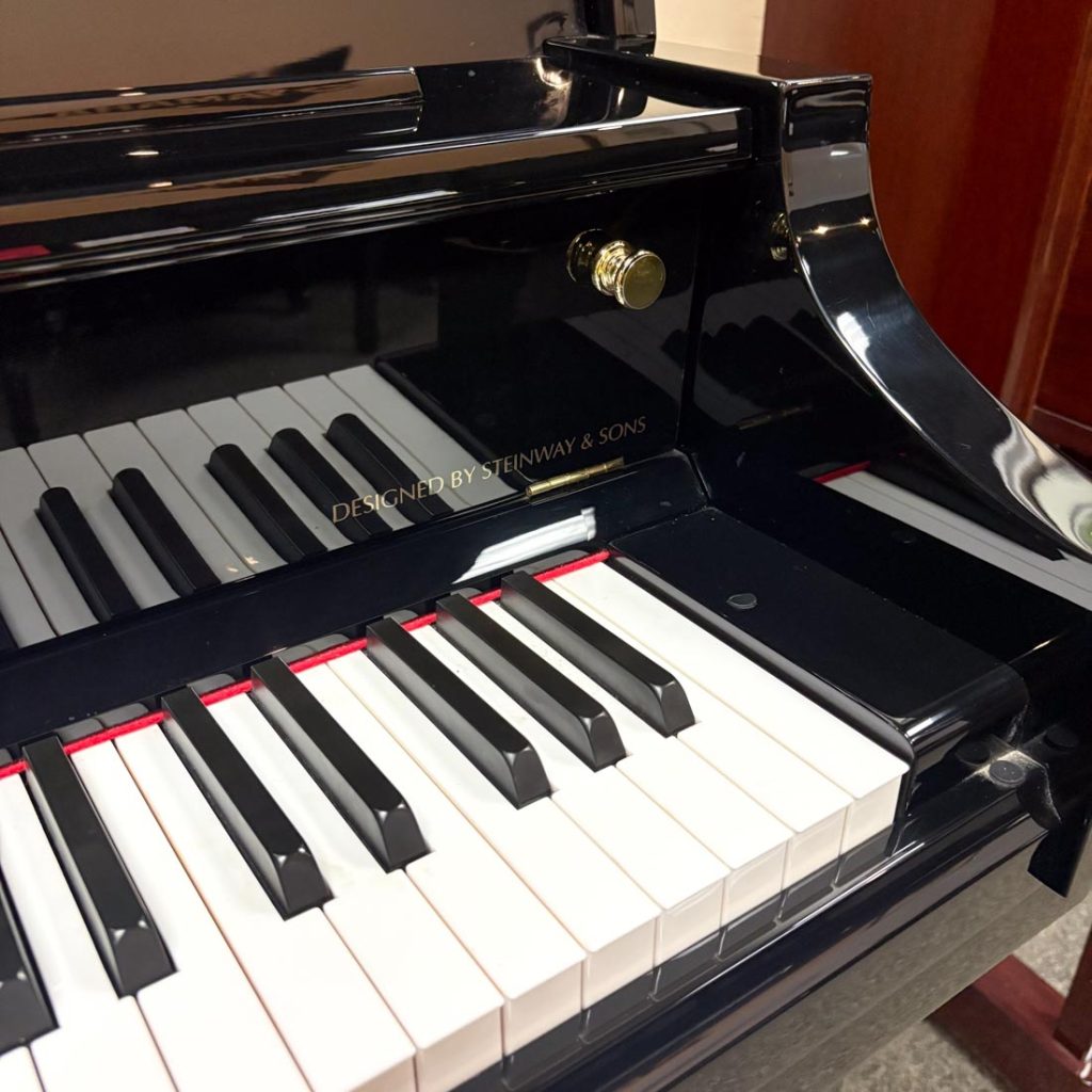 2010 Essex EUP-123 Traditional Upright #E118380C