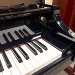 2010 Essex EUP-123 Traditional Upright #E118380C #4