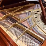 1990 Yamaha C5 Traditional Grand #4901202 #1