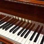 1990 Yamaha C5 Traditional Grand #4901202 #4