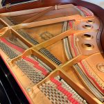 2006 Yamaha GB1K Traditional Grand #J2320483 #1