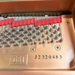 2006 Yamaha GB1K Traditional Grand #J2320483 #3