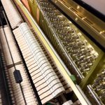 2024 Yamaha U1 Traditional Upright #6573397 #1