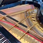 1923 Steinway & Sons L Traditional Grand #224390 #6