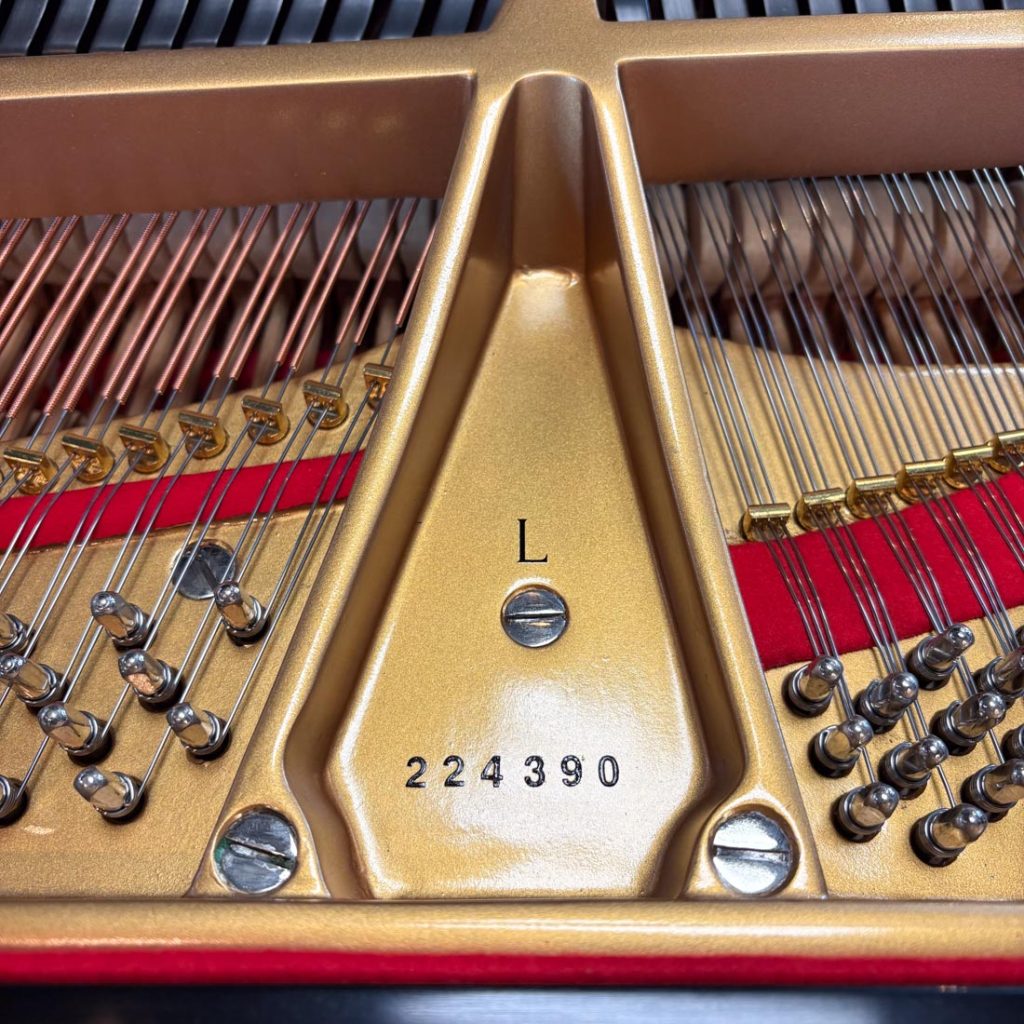1923 Steinway & Sons L Traditional Grand #224390