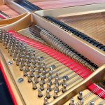 1923 Steinway & Sons L Traditional Grand #224390 #7