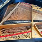 1923 Steinway & Sons L Traditional Grand #224390 #8
