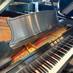 1923 Steinway & Sons L Traditional Grand #224390 #3