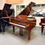 1990 Yamaha C5 Traditional Grand #4901202 #0