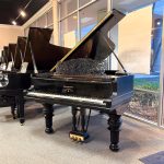 1894 Steinway & Sons B Traditional Grand #81490 #0