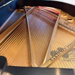 1894 Steinway & Sons B Traditional Grand #81490 #7