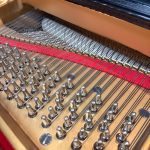 1894 Steinway & Sons B Traditional Grand #81490 #10