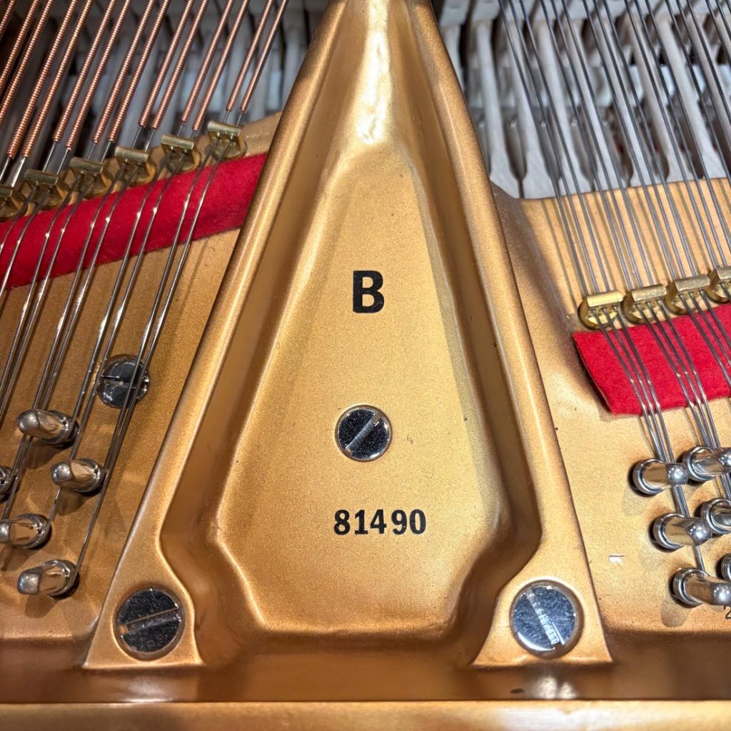 1894 Steinway & Sons B Traditional Grand #81490