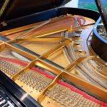 2005 Steinway & Sons B Traditional Grand #577339 #1