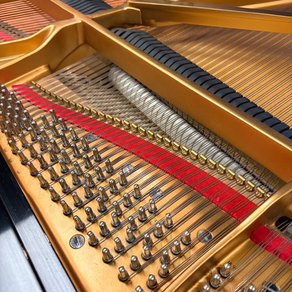 2005 Steinway & Sons B Traditional Grand #577339