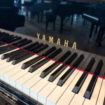 2008 Yamaha C5 Traditional Grand #6243713 #6