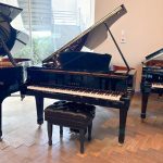 2008 Yamaha C5 Traditional Grand #6243713 #0