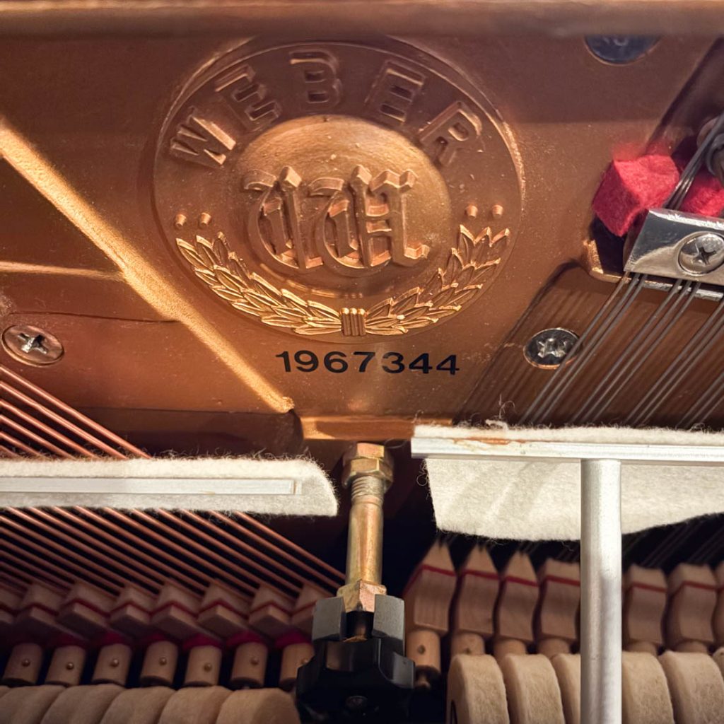 1994 Weber W48 Traditional Upright #1967344