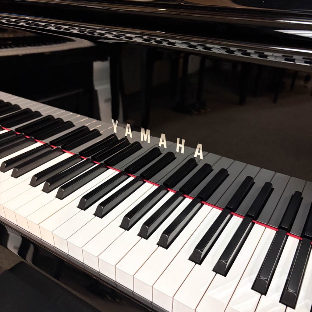 2024 Yamaha N1X AvantGrand Hybrid #UZCFL01014