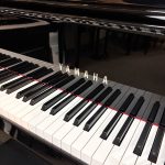 2024 Yamaha N1X AvantGrand Hybrid #UZCFL01014 #3