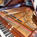 1998 Steinway & Sons L “Tiffany” Traditional Grand #545852 #5