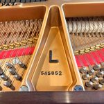 1998 Steinway & Sons L “Tiffany” Traditional Grand #545852 #9