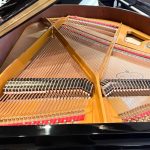2002 Petrof IV Traditional Grand #588172 #2
