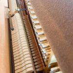 1999 Yamaha P22 Traditional Upright #246444 #3