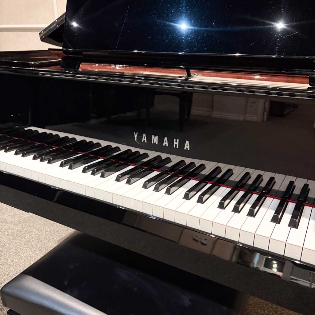 2017 Yamaha N3X AvantGrand Hybrid #UCXZ01009