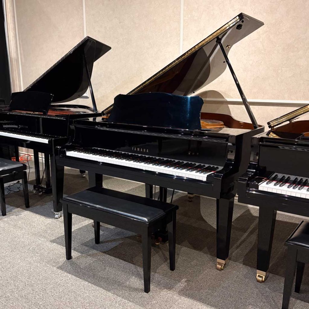 2002 Yamaha GP1 Traditional Grand #5976482