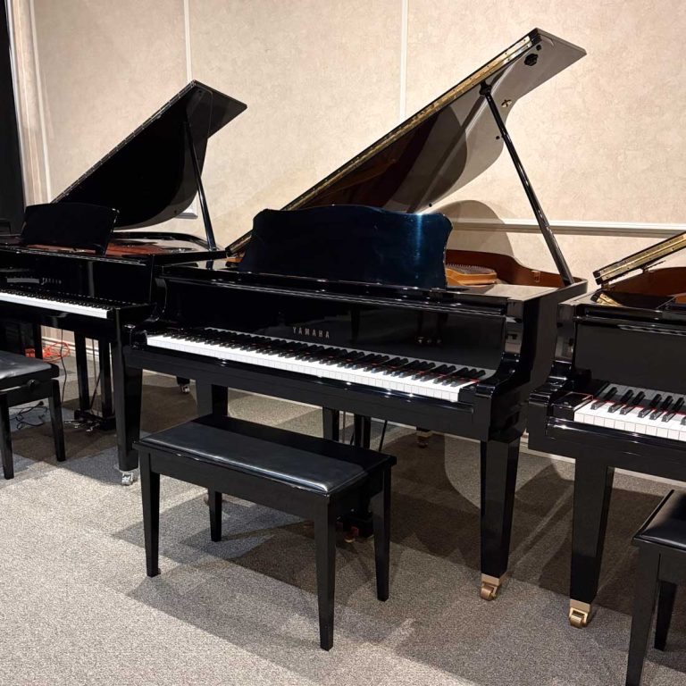 2002 Yamaha GP1 Traditional Grand #5976482