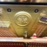 2025 Yamaha U3 Traditional Upright #6578991 #3