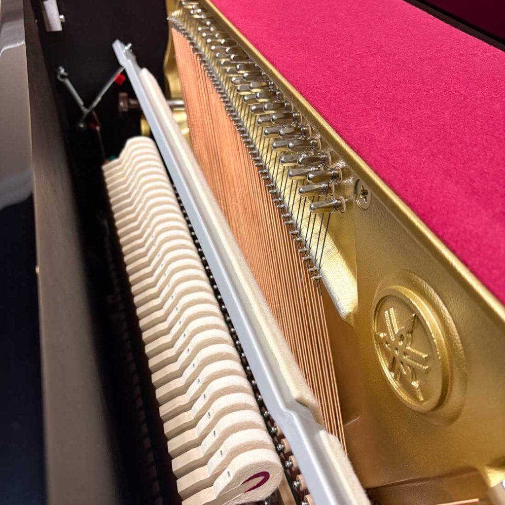2019 Yamaha b3 Traditional Upright #J36415092