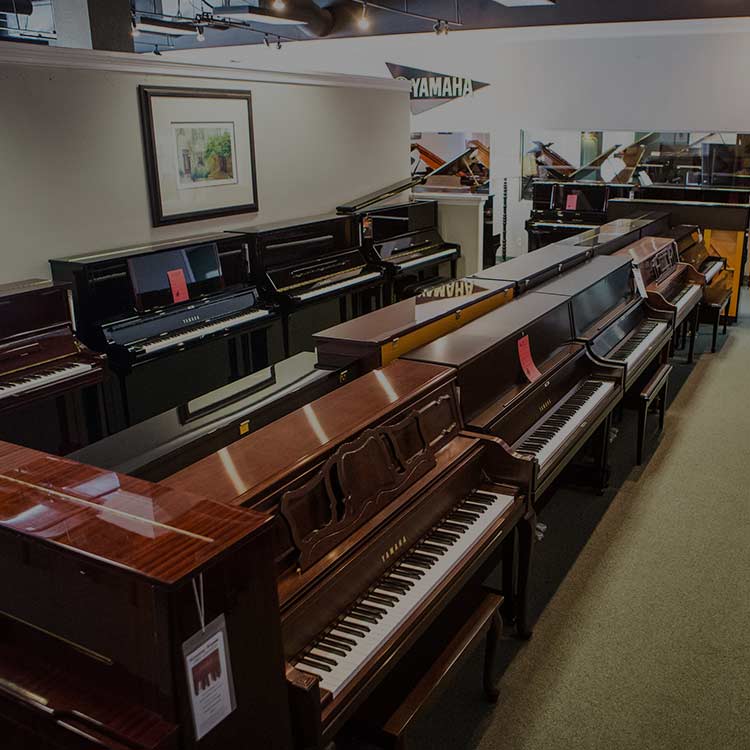 The keyboard and piano shop